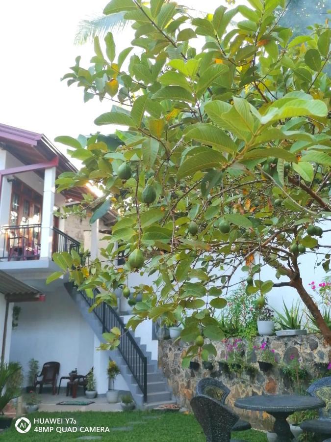 Villa Wismar Хиккадува Экстерьер фото